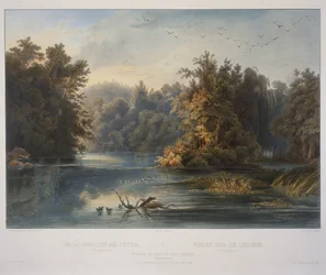 Scena forestale sul Lehigh